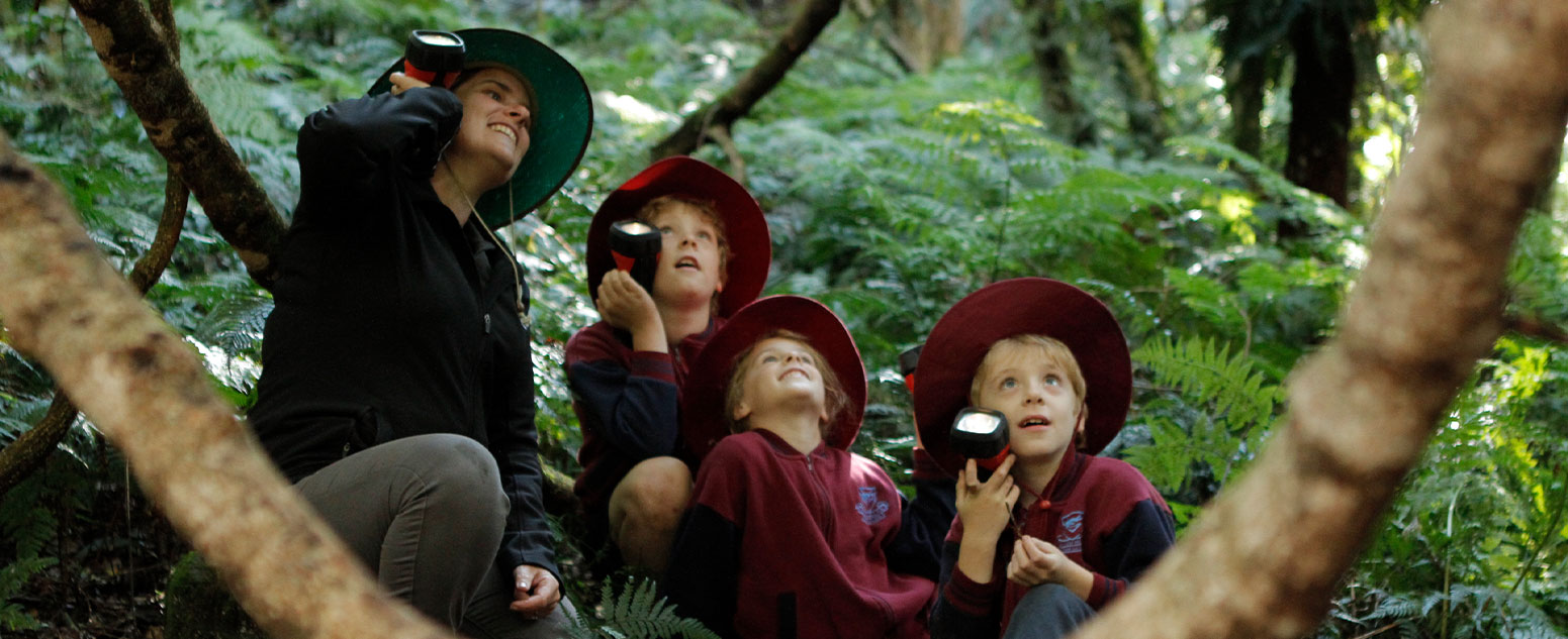 School children exploring the bushland in the Blue Mountains with torches