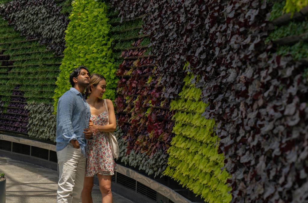 Couple view a green wall of plants