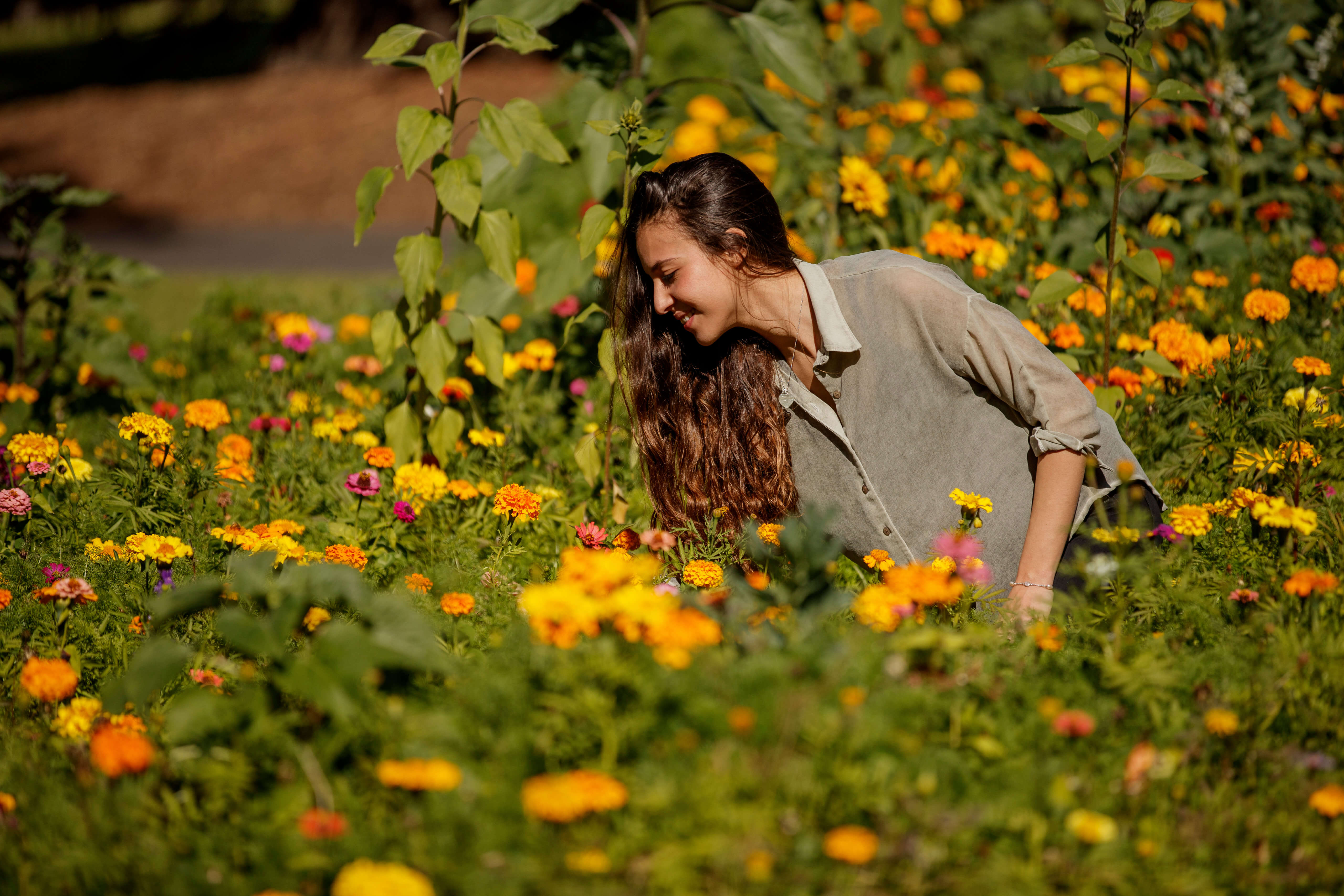 person in a wildflower meadow