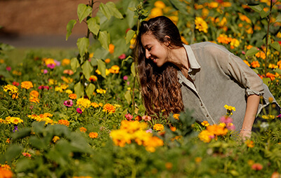 Woman in a field of yellow flowers