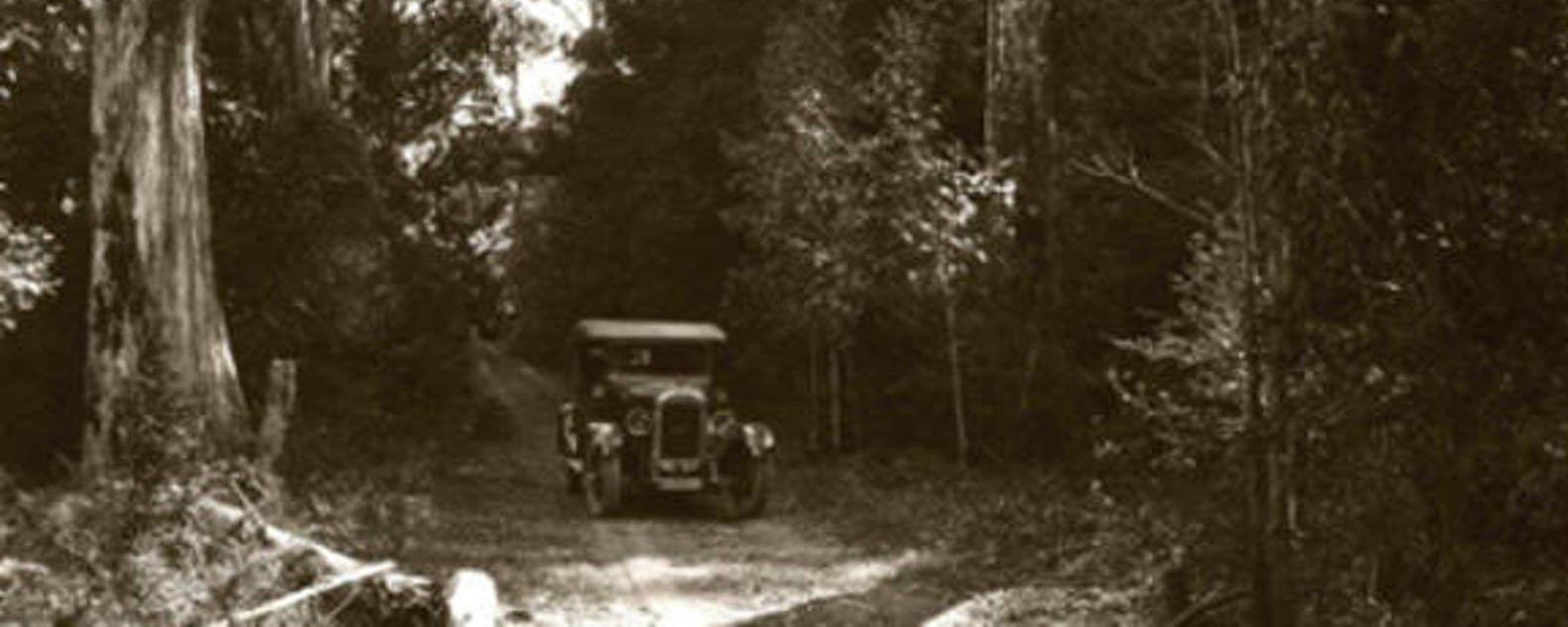 Vehicle in Mount Tomah