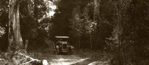 Vehicle in Mount Tomah