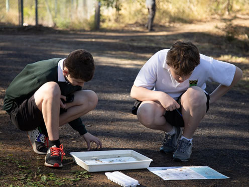 Two students conducting an experiment with trays of water in the Australian Botanic Garden Mount Annan.