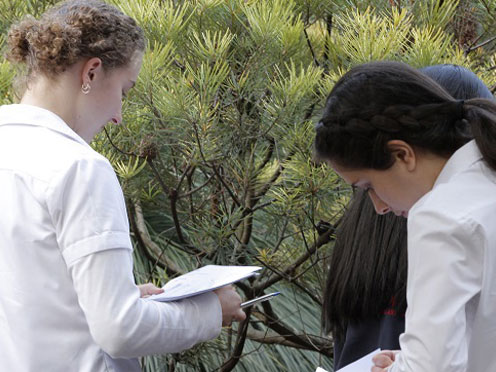 Two senior students filling out paperwork with a shrub in the background.