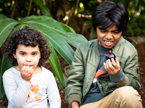 Two children eating bush tucker in the Royal Botanic Garden during NAIDOC Week 2021.