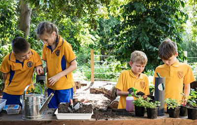 Four children in yellow shirts at a bench in the garden planting seedlings.