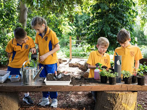 Four children at a bench in the garden planting seedlings