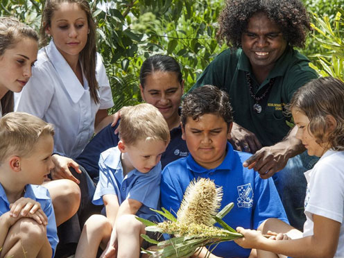 First Nations Educator and a group of children looking at a Banksia flower.