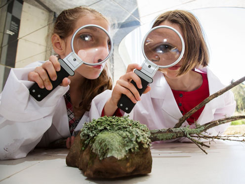 Two students using magnifying glasses to inspect lichen on a rock 