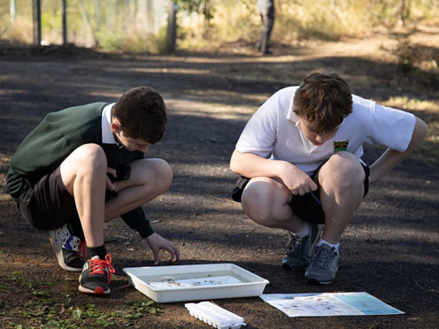 Two students in the garden inspecting trays of water during an experiment.