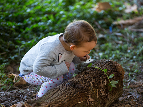 toddle crouching and examining long leaf on a log