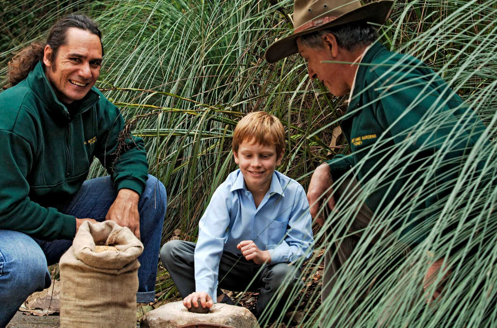 aboriginal bush tucker group tour 