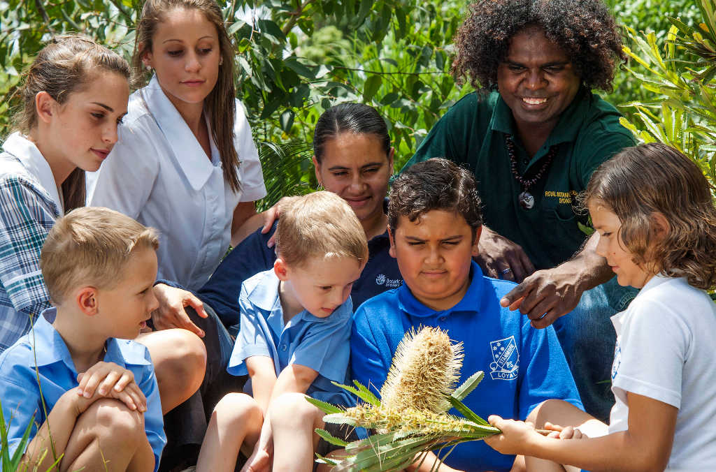 aboriginal heritage group tour 