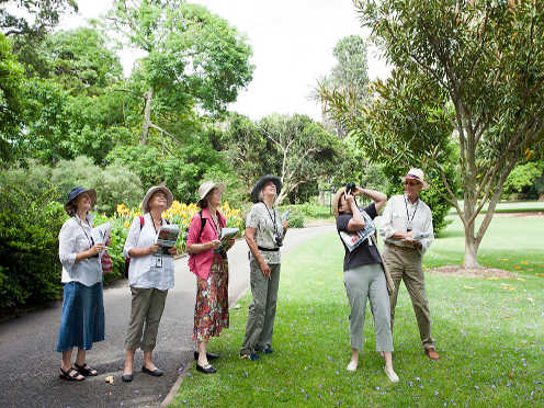 volunteer at the garden thumbnail