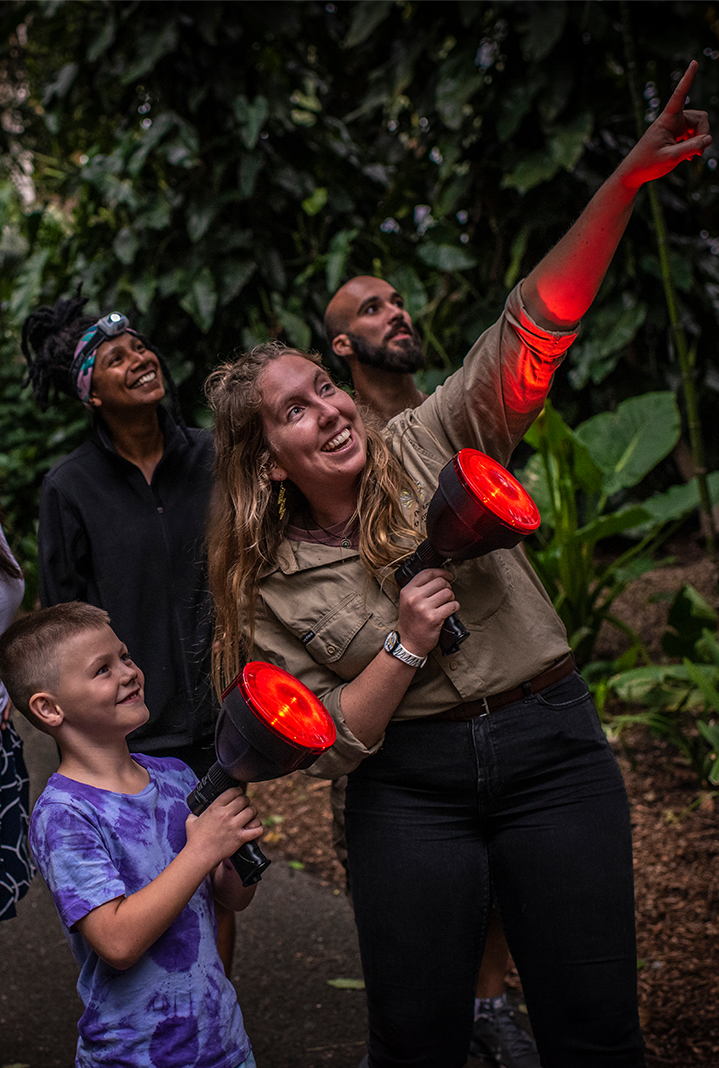 Guide and child with torch spotlights, in a twilight rainforest garden