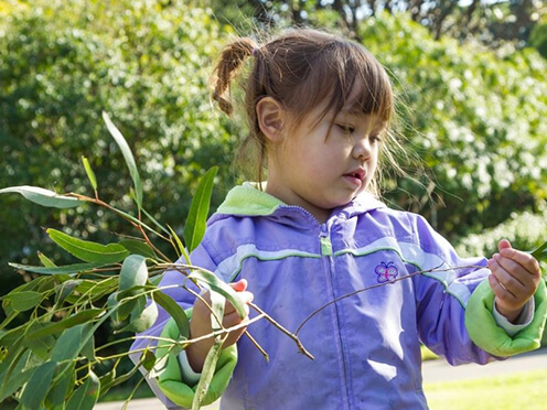 Toddler holding eucalyptus leaves.