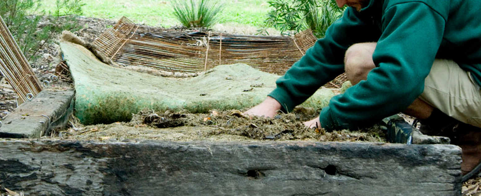 close up garden beds