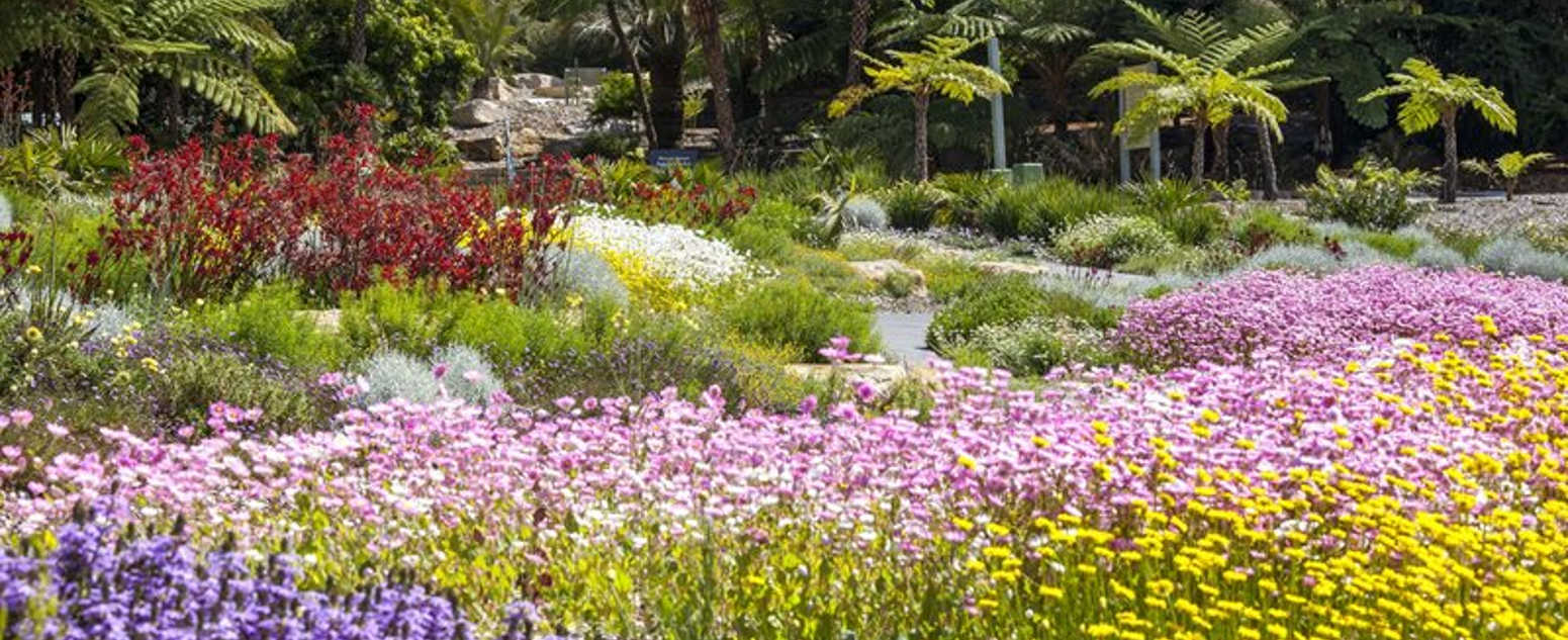 connection garden at the abg
