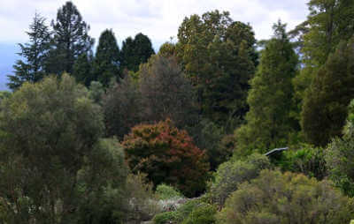 hort bmbg garden 