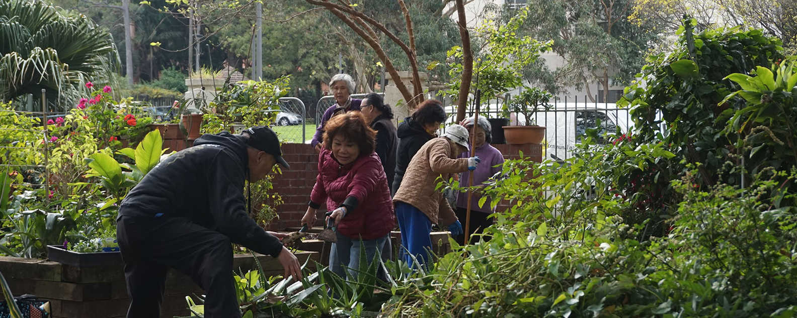 gardening for good health hero 