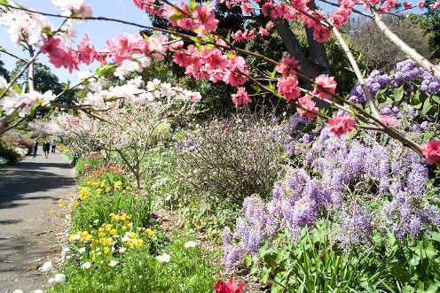 spring gardening tips thumbnail 