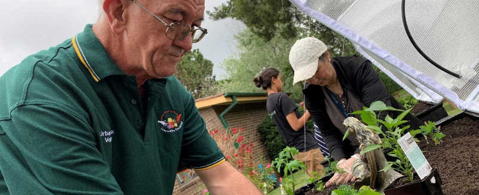 summer planting