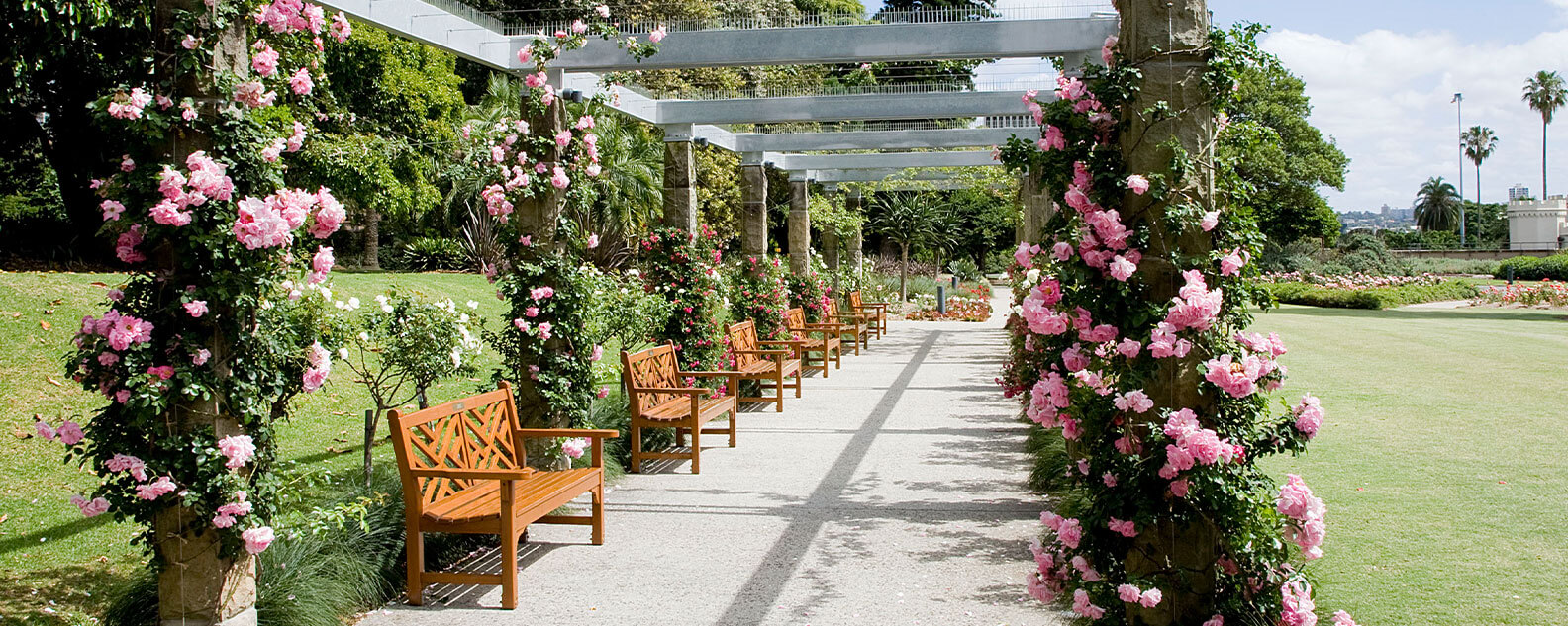 Palace Rose Garden pergola with seating