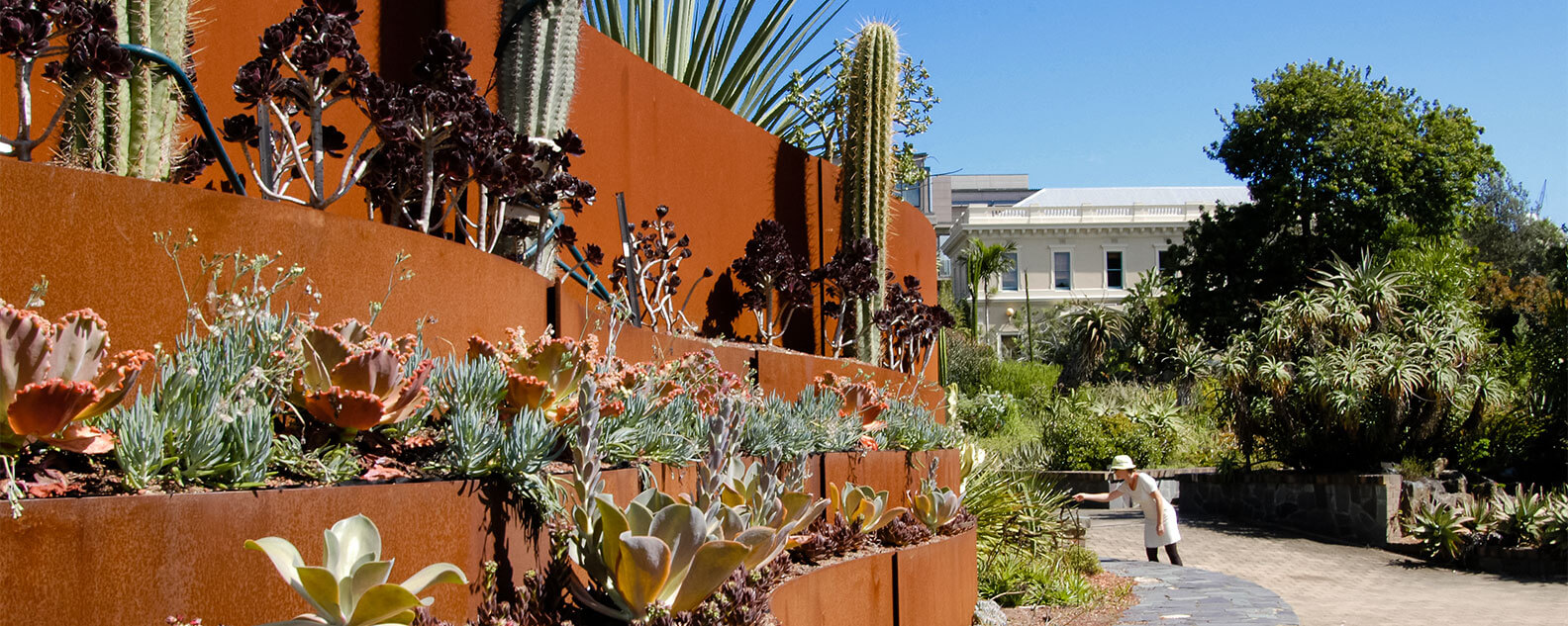 Sunny day in the Succulent Garden