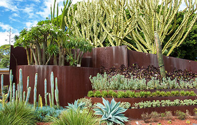 Landscaping in the Succulent Garden