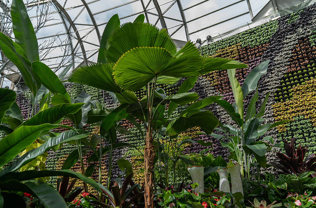 tropical garden beds under an elegantly curved greenhouse roof