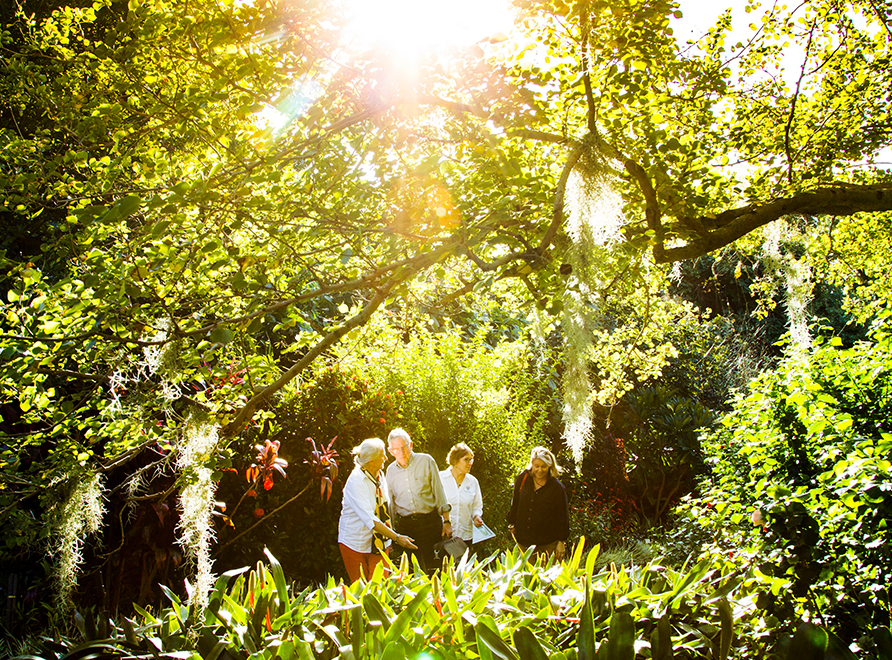 People enjoying a walk in a tropical garden on a sunny day