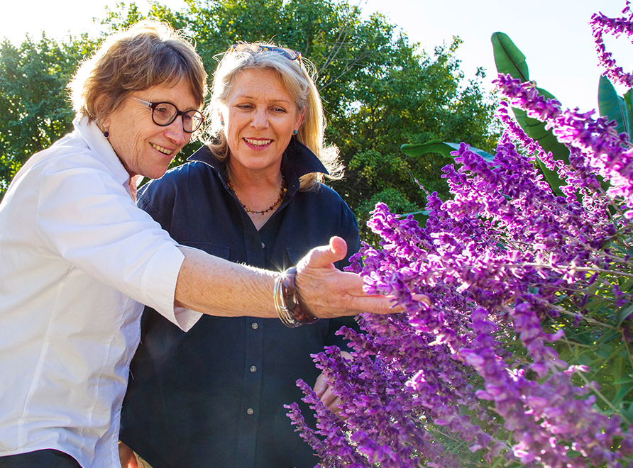 Guide showing a purple flowered plant to a visitor