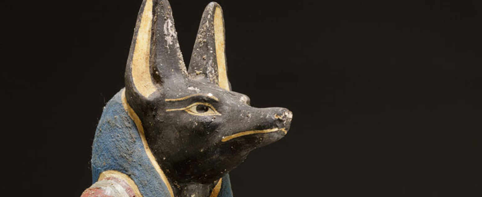 anubis statue