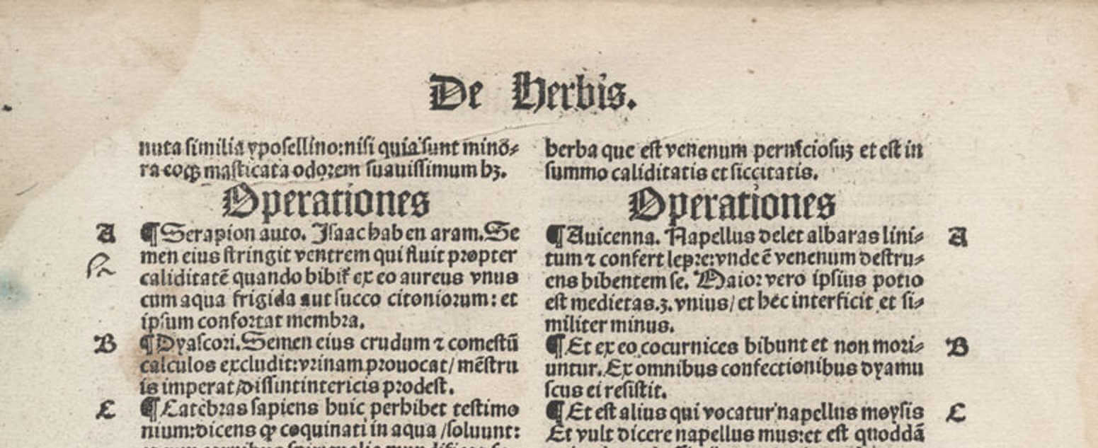 hortus sanitatis theory