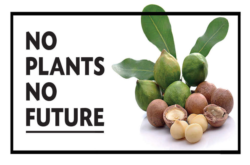 No plants no future vital science banner