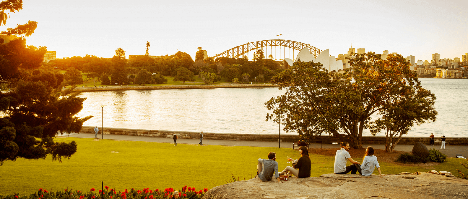 Sydney sunset harbour view at RBG 