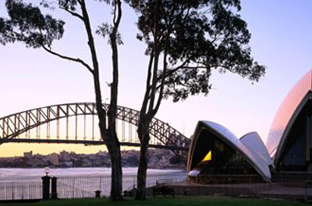Trees on lawn with Sydney opera house and Harbour Bridge in background