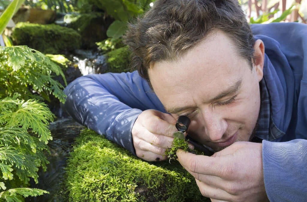 Matt renner exploring the garden