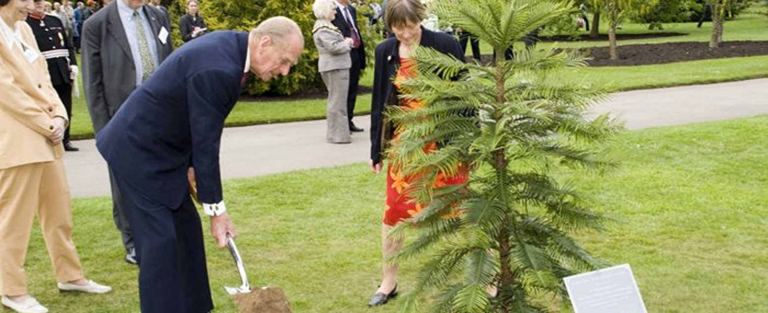 wollemi pine prince philip 