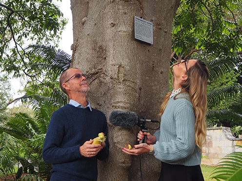 Two people under a black bean tree with a microphone