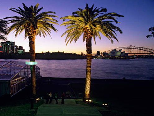 Two palms in the foreground at sunset over the historic Fleet Steps venue at the Royal Botanic Garden Sydney, the Harbour bridge is visible in the distance.