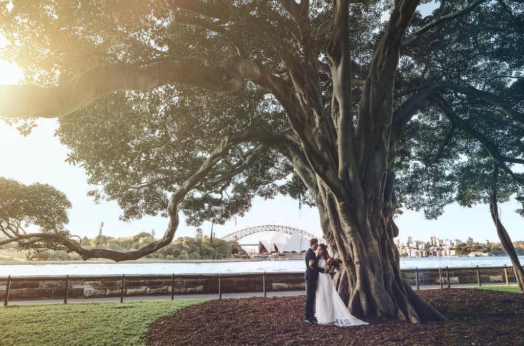 Wedding by the sydney harbour view