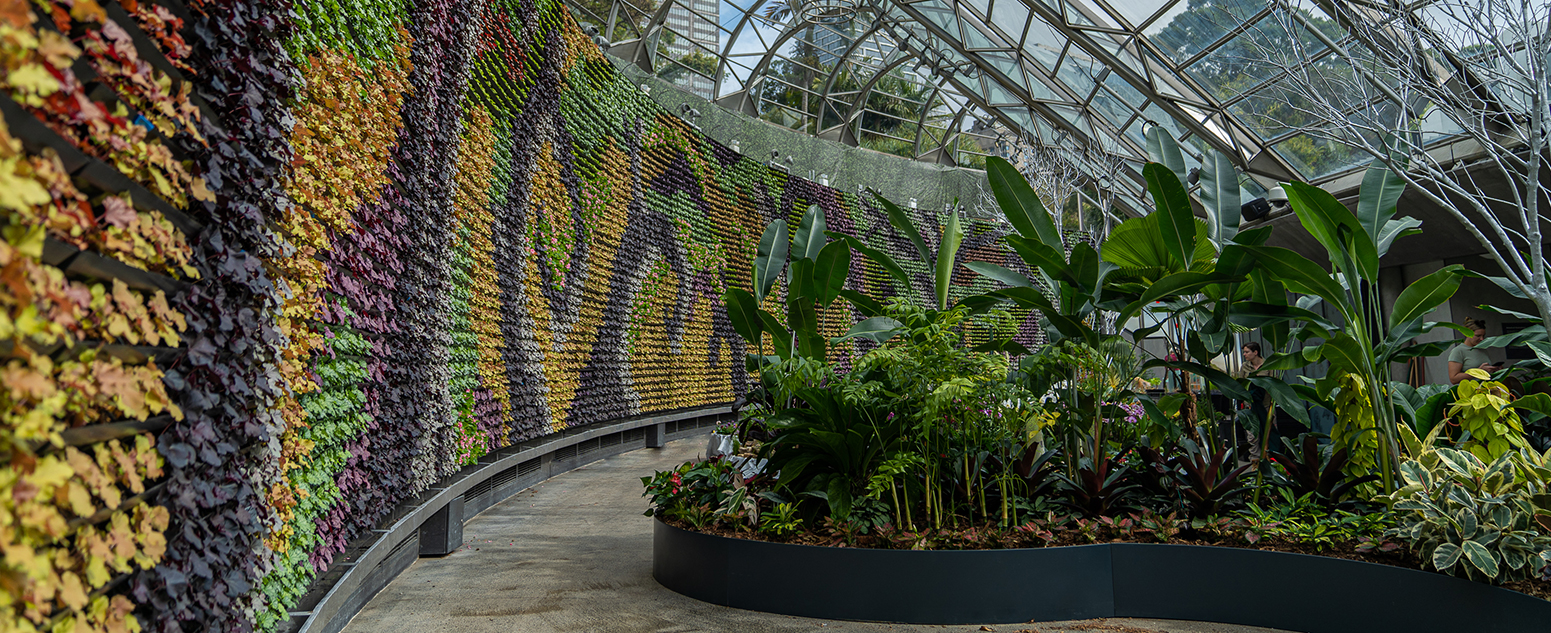 wall of greenery under a glass ceiling