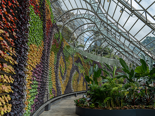 green wall of plants in architectural glass ceiling space