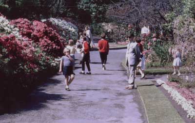 Botanical Garden 1900s pic