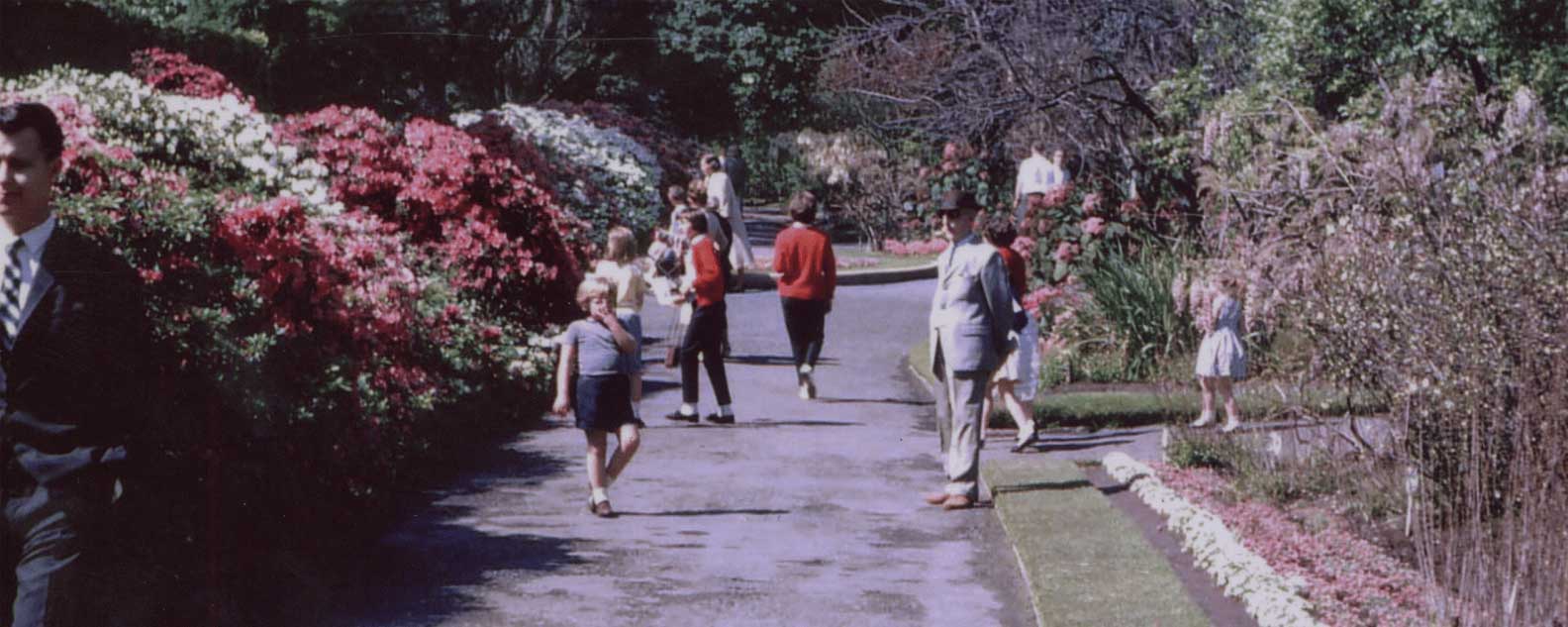 Botanical Garden 1900s pic