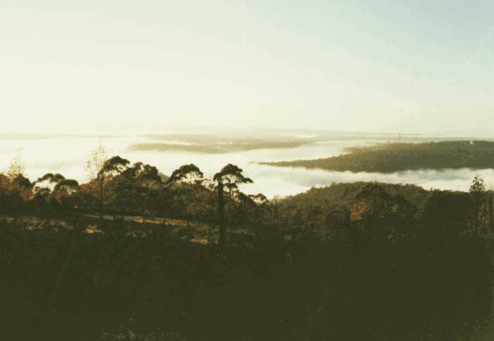 Blue Mountain Botanic Garden Mount Tomah