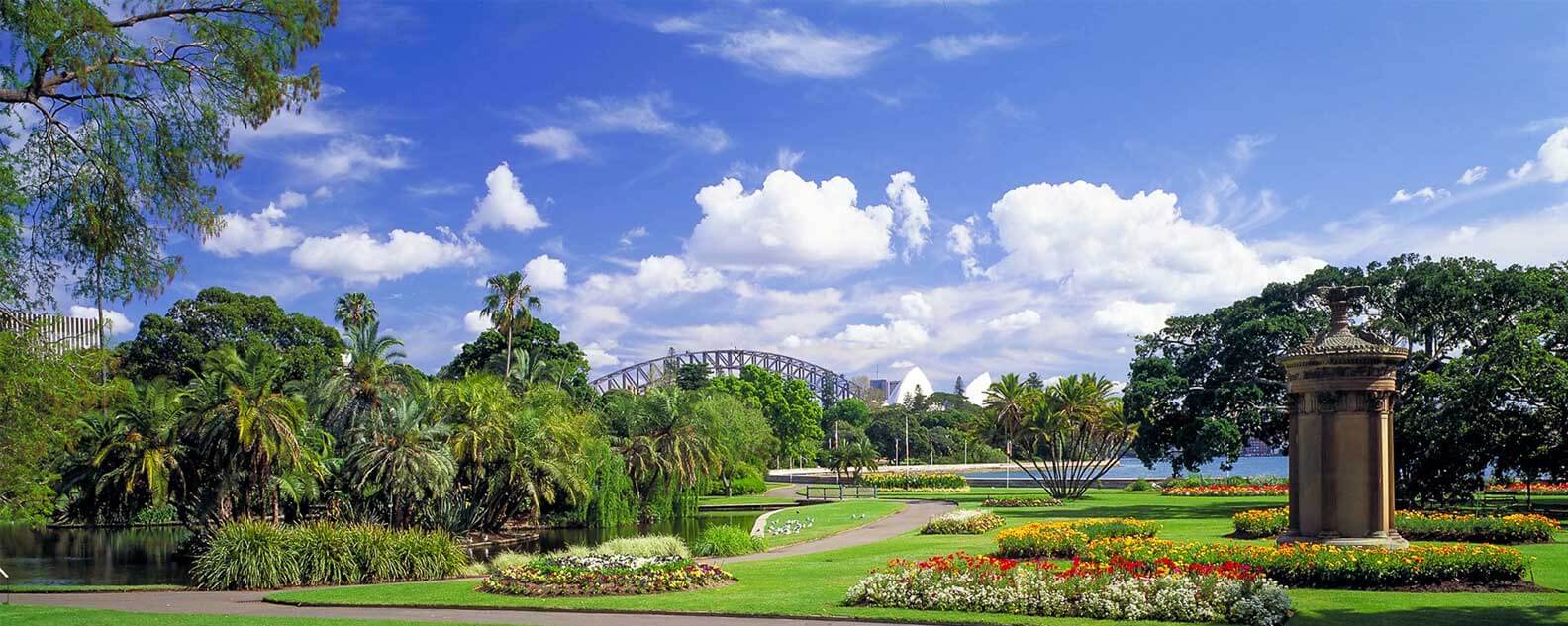 Royal Botanical Garden with Harbour bridge view