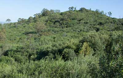 Australian Botanic Garden Mount Annan