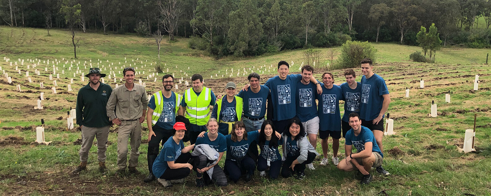 Group of volunteers on a hill with newly planted saplings